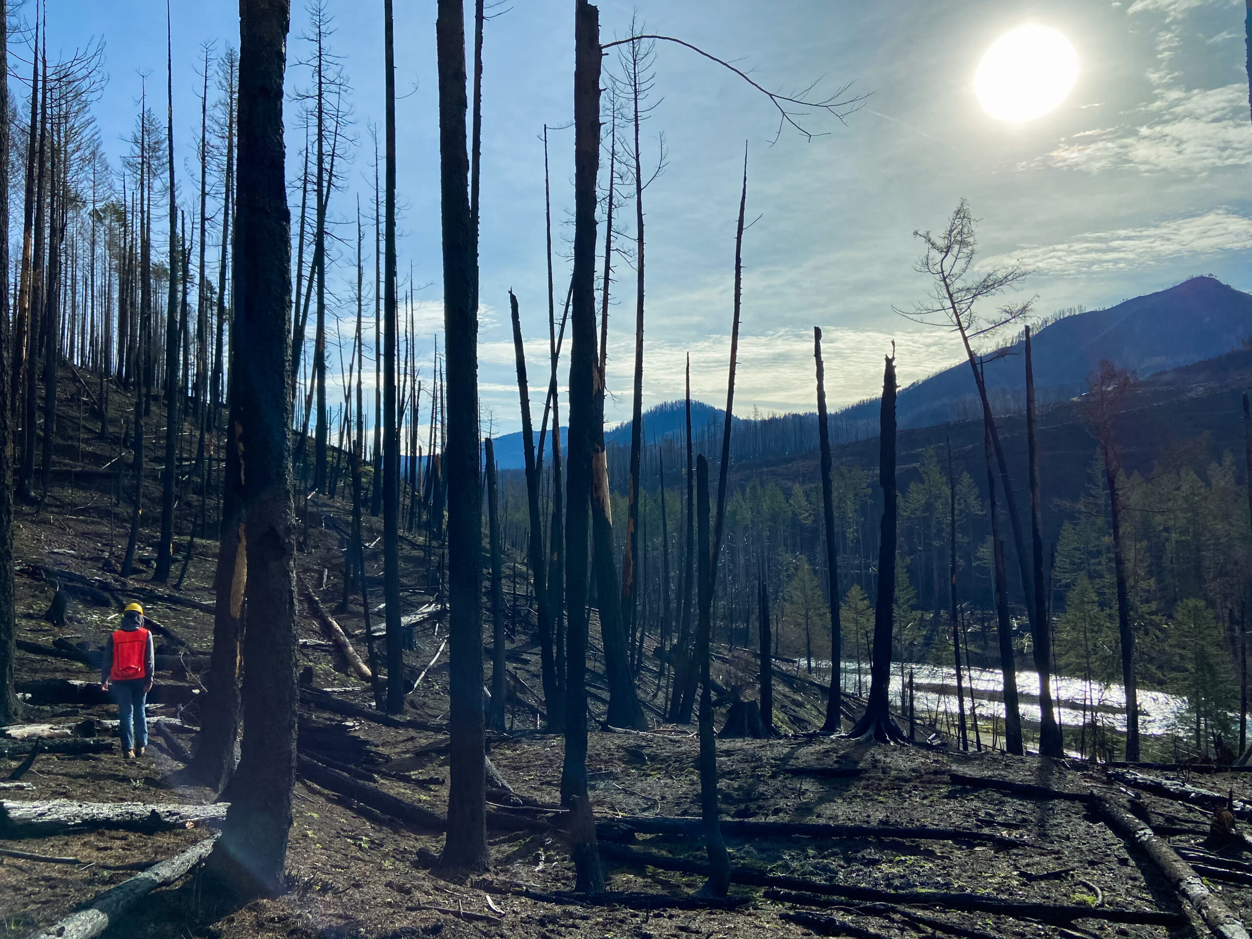The sun rises over wildfire damage in the West.