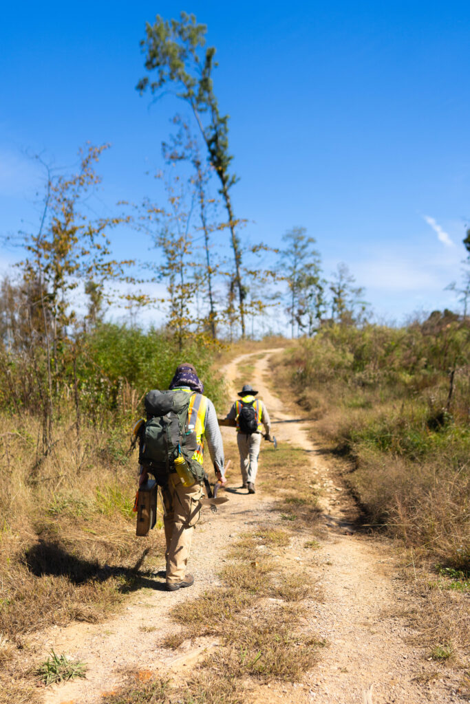 Archeologists from Chronicle Heritage's Memphis office walk a trail on a project site where Codifi was deployed. 