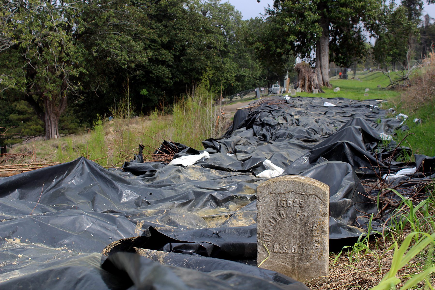 Looking North Across Affected Area of Section T of the Vicksburg National Cemetery in March 2023 Before Start of Archeological Excavations Looking north from the southern end of Burial Section T which was impacted by landslides in 2020 and 2021, showing plastic tarps used to protect the site prior to the start of excavations in April 2023. In the foreground is the grave marker for Sergeant John Ponshea, a United States Colored Troops (USCT) veteran of the Civil War who died in 1890. Section T of the Vicksburg National Cemetery damaged by the 2020 & 2021 landslides was originally designated to be for African Americans only.