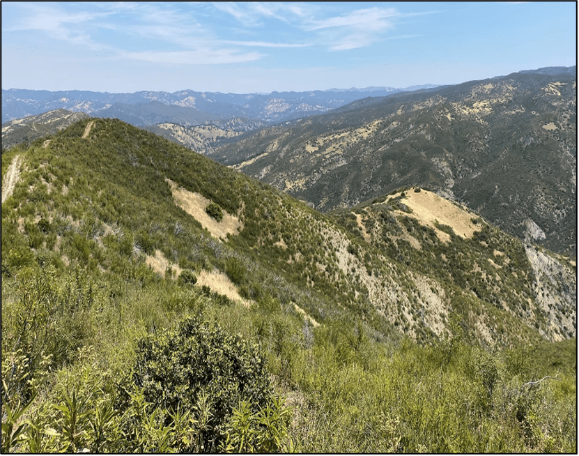 A view of the Little Blue Ridge Mountains in Berryessa Snow Mountain National Monument.